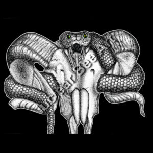 Goat Skull & Snake  - AS Colour Womens Maple Tee Design