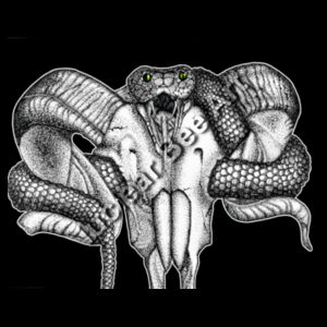 Goat Skull & Snake - AS Colour Womens Crop Singlet Design