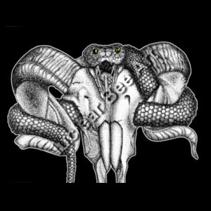 Goat Skull & Snake - AS Colour Womens Dice Longsleeve Tee Design
