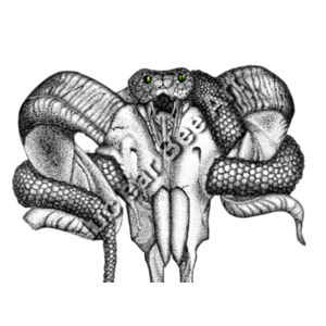 Goat Skull & Snake - AS Colour Mens Raglan Tee Design