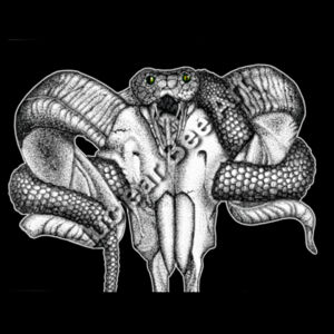 Goat Skull & Snake - AS Colour Womens Stencil Hood Design
