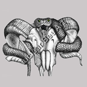 Goat Skull & Snake - AS Colour Womens Supply Hood Design