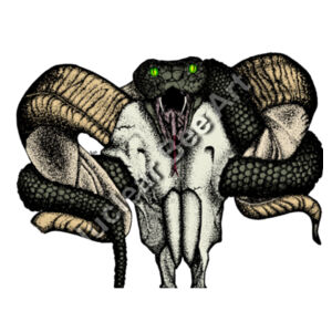 Goat Skull & Snake (Coloured) - AS Colour Mens Raglan Tee Design