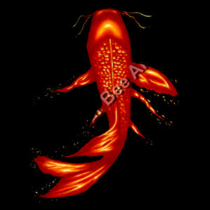 Fire Koi - AS Colour Womens Maple Tee Design