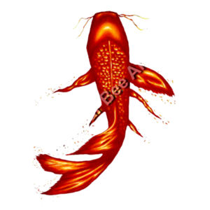 Fire Koi - AS Colour Womens Sunday Singlet Design