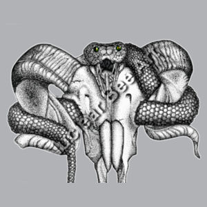 Goat Skull & Snake - AS Colour Womens Sunday Singlet Design