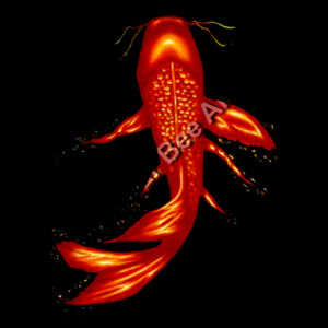 Fire Koi - AS Colour Mens Supply Hood Design