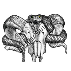 Goat Skull & Snake - AS Colour Mens Supply Crew Design